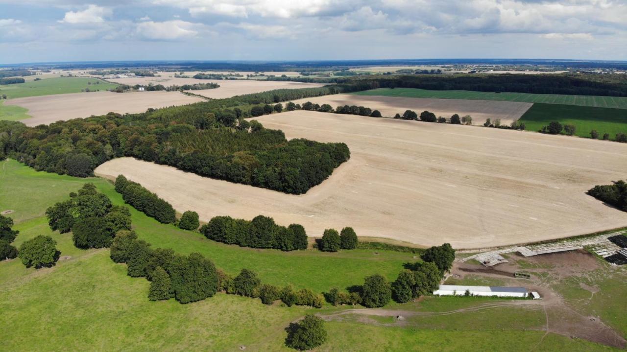 Peenehof Koeppen - Ferienwohnungen & Schlaffaesser Jordenstorf Zewnętrze zdjęcie