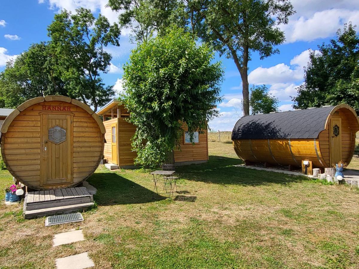 Peenehof Koeppen - Ferienwohnungen & Schlaffaesser Jordenstorf Zewnętrze zdjęcie